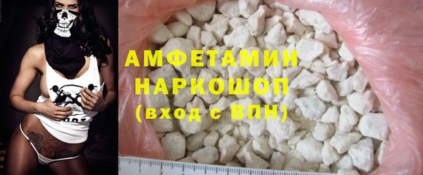 крисы Корсаков