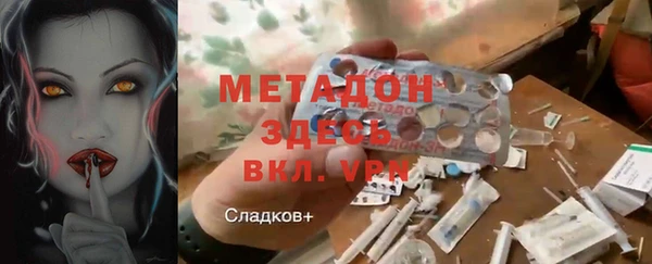 крисы Корсаков