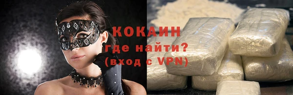 крисы Корсаков