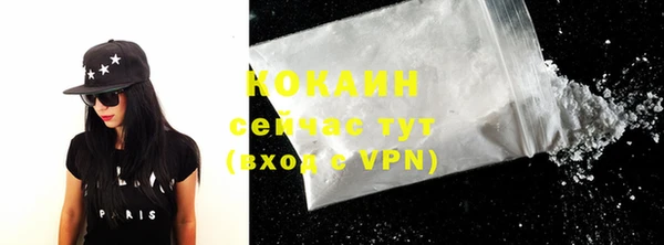 крисы Корсаков