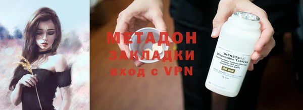 крисы Корсаков