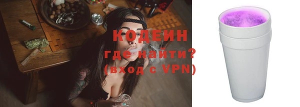 крисы Корсаков