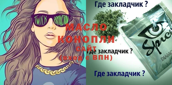 крисы Корсаков