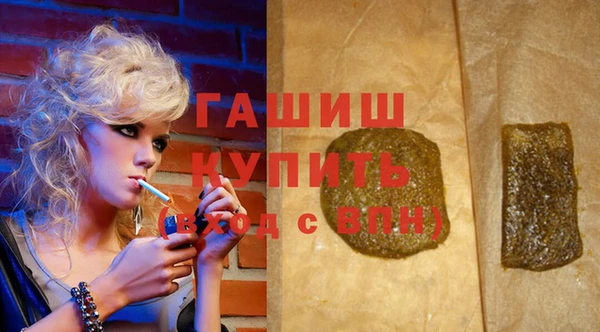 крисы Корсаков