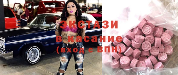 крисы Корсаков