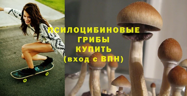 ALPHA-PVP Коряжма