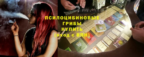 крисы Корсаков