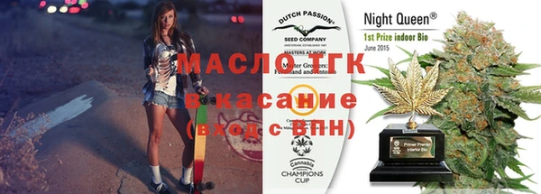крисы Корсаков