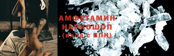 крисы Корсаков