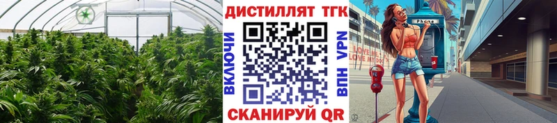 Дистиллят ТГК вейп  Купить закладки  Щёлкино 