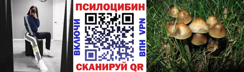 Псилоцибиновые грибы мицелий  Купить где  Щёлкино 